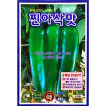 찐아삭맛 풋고추 아삭이고추씨앗 100립