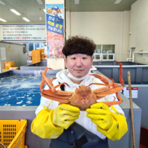 속초 박달 홍게 생물 자숙 홍게 다리 수율 80% 내외 3KG 당일조업 당일배송