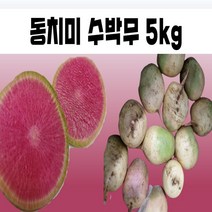 자색무 보라색 동치미 수박무 5kg, 1개