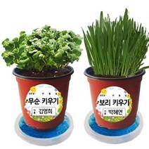 기타 바보사랑[매직북스]매직북스 쌈채소 새싹 식물키우기 (관찰일지 포함), A타입새싹보리, A타입새싹보리