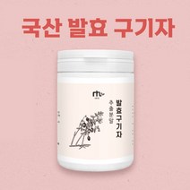 발효구기자 분말 가루 국산 구기자 고지베리 열매 추출물 유산균발효 구기자차 물 파우더 대용량 파는곳, 1개, 100g