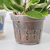 투명 플라스틱 슬릿 화분 행잉 슬릿분 플분, 에어슬릿분