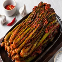 전라도 장성 집밥 갓김치 1kg 2kg 3kg 5kg 포장, 1개