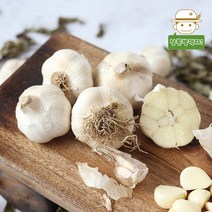 [무안직송] 황토밭 홍산 마늘 1kg, 단품