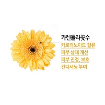 어스로하 어스로하 대용량 올 클리어 리무버 패드 70ea