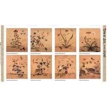 (DTP 20수 면원단) K마스터피스시리즈 5탄 신사임당 8컷 커트지