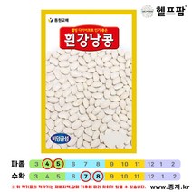 헬프팜 흰강낭콩 600g 콩 종자 씨앗 동원농산종묘