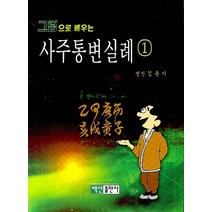 그림으로 배우는 사주통변실례 1, 백산출판사