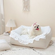 강아지콘솔카시트 박스 차멀미 애완동물 집 카시트 침대 소형견 및 고양이용 개 소파 고양이 둥지 키티 쓰레기 Morandi 탈착식 세탁 가능, S_CHINA, Sofa C