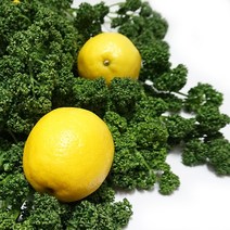 오일만주스 ( 레몬5알 + 파슬리 300g ) 생 파세리 555주스, 단품