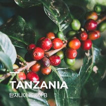 [커피생두] 탄자니아 음베야 B 5kg