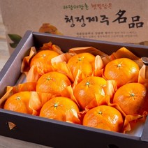 프리미엄 고당도 레드향 3kg 특품 선물용 선물세트, 레드향 3kg 7~13과(선물용)