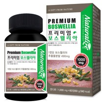 인도산 프리미엄 보스웰리아 60정x4병 관절 보스웰리아 추천 보스웰릭산 100% 식물성원료 세라타나무 테르페노이드 유항나무