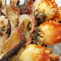 통영 활멍게 멍게 1kg 산지직송 당일발송 돌멍게 깐멍게, 활멍게 2kg, 1개