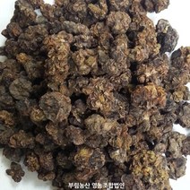 개다래열매 황기 맥문동 오미자 당귀 대추 국산한약재, 오미자 300g