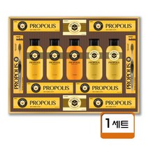 LG 엘지 추석 선물세트 프로폴리스 A호