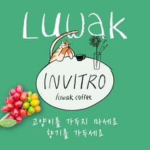 발효 커피 비건 인도네시아 루왁 커피 사향 고양이 보호 저카페인 부드러운 커피 드립백 홀빈 분쇄 가루 굵게 얇게 주문, 500g, 홀빈(분쇄안함)