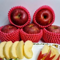 [팜플레이스] 가성비 선물용 아삭달콤한 홍로 사과, 1개, 대(5kg), 중대과