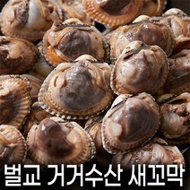 벌교 거거수산의 실패 없는 득량만 새꼬막 2kg 단위, 새꼬막 상품 2kg (20mm이상/무침or비빔밥용), 1개