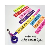 (초코송이네 커스텀)강아지 산책 메세지 슬리브, 8
