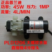 가압 펌프 무소 가정용 수도 음가압 지하수 급수 Pulandi 12V45W 전기 6, 12V45W 압력 스위치4점 220V 전원