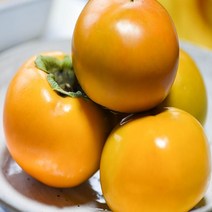 [춘식이네천기농장] 창원 산지직송단감 5Kg, 5Kg (28-30과)
