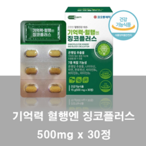 코오롱제약 기억력혈행징코플러스, 1개, 30정