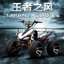 4륜바이크 사륜바이크 사륜 오토바이 125 Little Mars ATV 쿼드 전기 쿼드, 6인치 표준 체인 드라이브