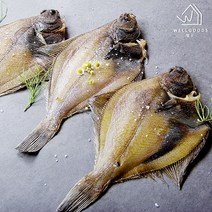 [웰굿] [속초반건조]깔끔 담백한 반건조 가자미 7미(28cm내외), 상세 설명 참조