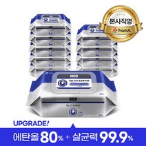 리꼬 프로 손소독 티슈 60매 (에탄올80%) * 4팩, 10팩