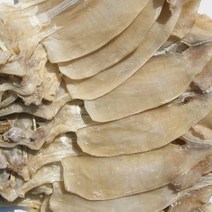 건어물천국 신선한 당일바리 마른오징어10마리 건오징어, 850g 10마리