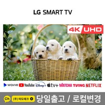 LG 75인치 4K 스마트 UHD TV 75UP7070 울트라HD, 4. 지방권역 벽걸이 +상하브라켓
