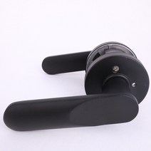 블루레몬 방문손잡이 CTL-801 블랙, 1개