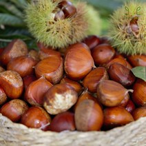 햇밤 옥광밤 삼조생 1kg 순창 칼집 알밤 국산 산지직송, 1봉, 삼조생(알밤) 1kg