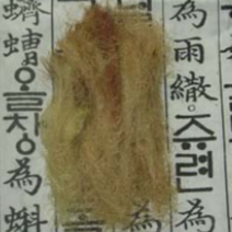 (CG소망)자연농 장연대학찰옥수수수염 200g 충북 괴산