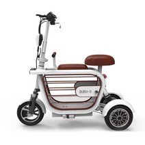 삼륜자전거 성인용3발자전거 어르신 전동 성인용 노인자전거 3륜자전거 접이식 삼륜전기차 노가족 영유아 픽업 부모 남녀 미니 수송용 배터리, 배터리 없는 Dudu 알몸 차 충전기 모터 없음, 48V