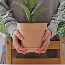 사무실 이전선물용 미니화분 책상꾸미기 테이블꾸미기, 브라운