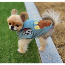 예보들 강아지이름표 애견인식표 강아지인식표 고양이인식표 강아지이름표목걸이 애견목걸이 강아지인식표목걸이 고양이목걸이, 6글자(+1500원), 핀타입, 파랑색 하트