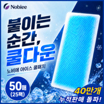 노비에 시원한 붙이는 아이스 쿨패치 쿨팩, 50개