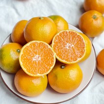 제주 농협 하우스 귤 감귤 1.5kg 2.5kg, 제주 농협 하우스감귤[대과] 2.5kg, 1개