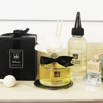 에떼 오드우드 차량용 고급디퓨저 100ml B12, T오우드우드