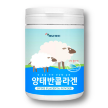 피부 채움 수분 단백질 함량 흡수율 동물성 양태반 콜라겐 피쉬 펩타이드 분말