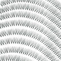 꽃단장 속눈썹연장 검정 가닥속눈썹 낚시줄 부분속눈썹 블랙, 1개, 투명색줄/5P(10가닥)/11mm/5줄