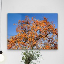 cl672-폼아크릴액자78CmX56Cm_돈복을부르는감나무, 2.복