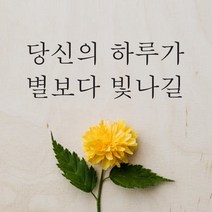단비데코 감성레터링 스티커 감성문구 응원 명언 현관문 포인트스티커, L-37당신의하루가-블랙