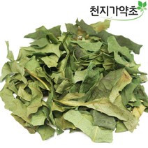 청정제주산 황칠나무잎 (잔가지포함) 300g, 2봉