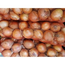 국내산 / 수입산 햇양파 15kg 20kg (망), 국내산 양파 특 (15kg), 1개
