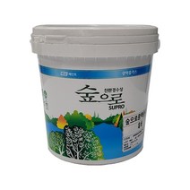 KCC 숲으로광택플러스 흑색 2L / 무독성 친환경 페인트 복도 계단 걸레받이 유광