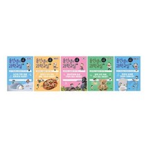 [전집] 용선생의 시끌벅적 과학교실 28~32권 세트 : 아동도서+노트 증정-상태 변화/온도와 열/암석/자극과 반응/혼합물의 분리, 사회평론(전집)