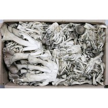 찌개용 파지 느타리버섯 2kg내외